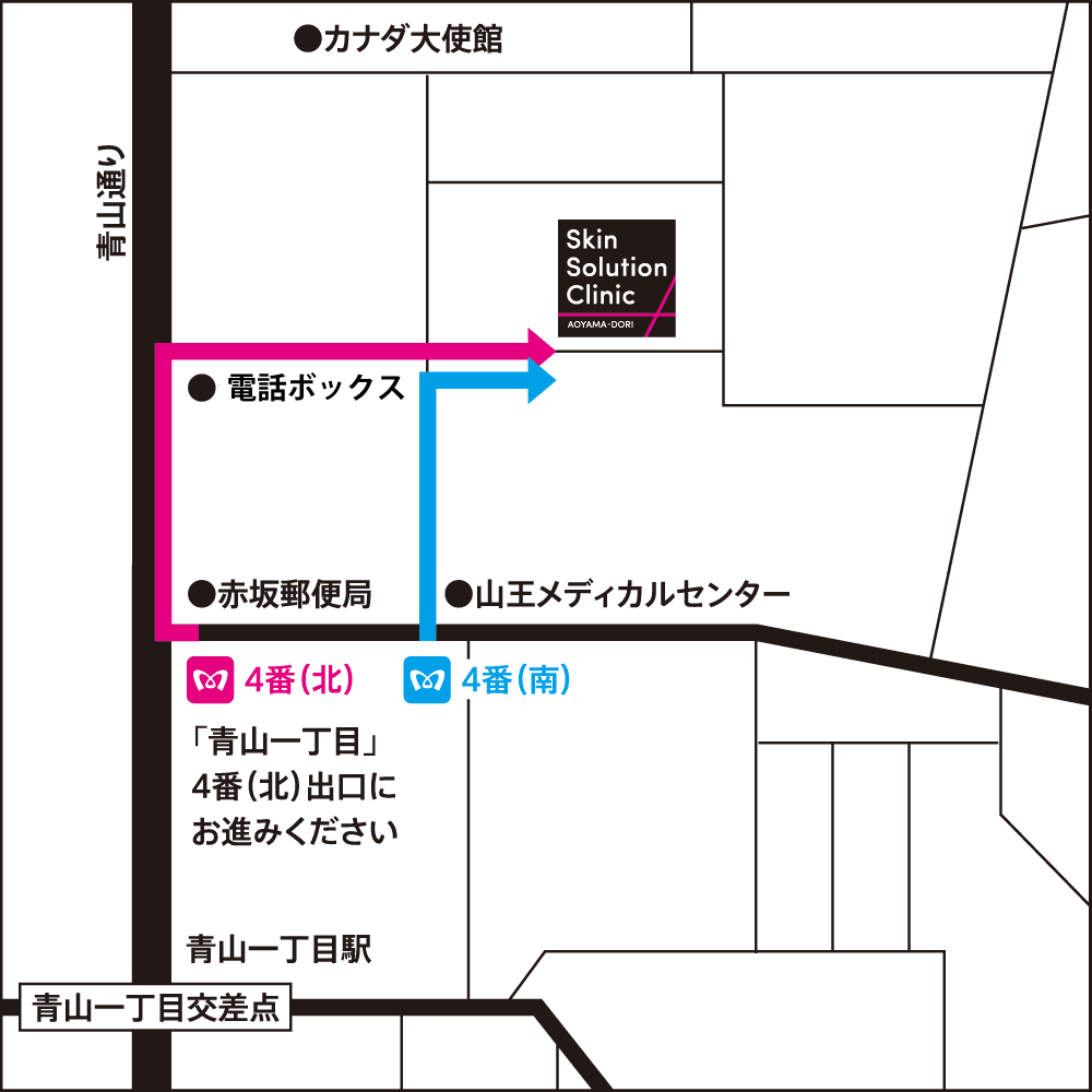 スキンソリューションの地図